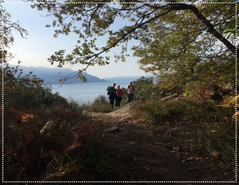 Blick auf den Lago Maggiore von Carmine aus