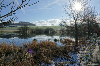 Biberteich bei Freilingen 