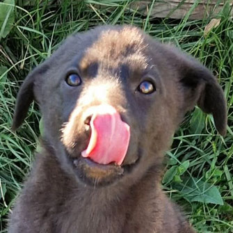 LUNA
