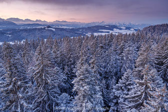 Emmental, Winter, Schnee, Hügel, Wald, Morgenrot