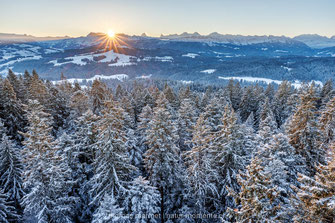 Emmental, Winter, Schnee, Hügel, Wald, Sonnenaufgang