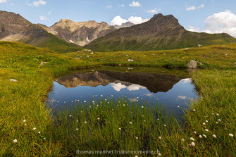 Bergsee, Hochmoor, Alpenglühen, Alpen, Berge