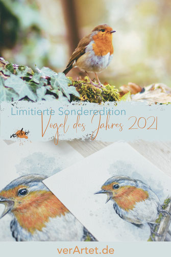 Rotkehlchen - Vogel des Jahres 2021