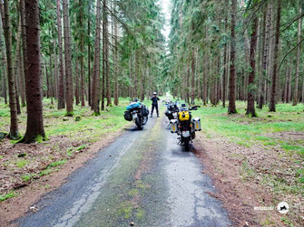 Balkan mit dem Motorrad, Tschechien, Wald, Motorräder