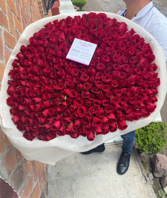 300 ROSAS