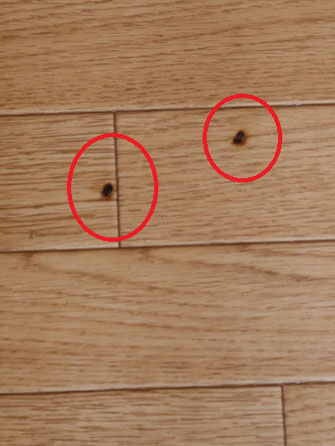 タバコ床クッションフロアの焦げ跡
