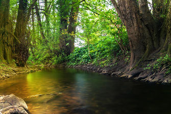 Am Ufer eines kleinen Baches sitzen und die Stille genießen ♦ © www.mjpics.de