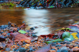 Bunte Herbstblätter am Bachufer ♦ Langzeitbelichtung © Jutta M. Jenning www.mjpics.de