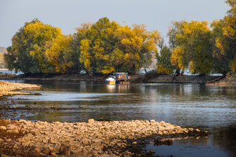 Rheininseln mit Booten im Herbst