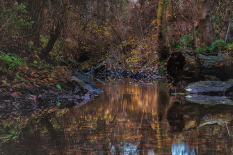 Herbststimmung am kleinen Bach ♦ Langzeitbelichtung © Jutta M. Jenning-mjpics.de