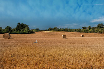 feld-im-herbst-mit-heuballen