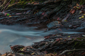 Bachlauf mit Langzeitbelichtung, seidiges Wasser © mjpics.de