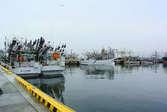 日本でも有数の漁獲量を誇る八戸港