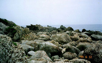 海岸に大きい石がゴロゴロして