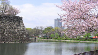 大阪城、石垣とお堀と桜
