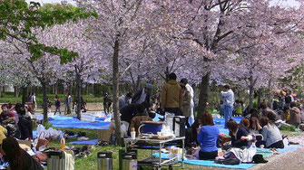 大阪城公園、大変な混雑、場所取りが大変