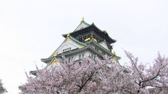 大阪城、お城と桜のツーショット