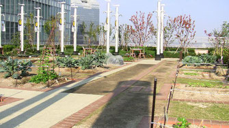 JR大阪駅屋上の別の場所にあるミニ庭園、駅の屋上とは思えない