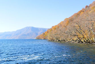 十和田湖、湖畔の紅葉は良かった