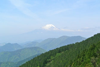 ここからの富士山もいいですね