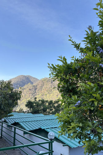 Unterkunft Rishikesh/Shivpuri im Maasa Retreat & Resort