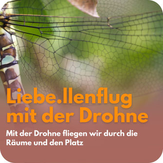 Detailaufnahme der durchsichtigen Flügel einer Libelle vor grünem Hintergrund – Hinweis auf einen Drohnenflug durch Räume und Gelände der Liebe.llenwerkstatt