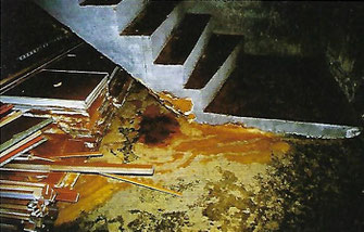 Echter Hausschwamm in einem Gewölbekeller, Schimmel, Schimmelpilze, Schimmelpilzbildungen