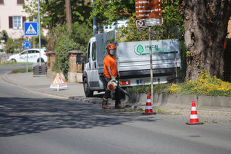 Baumpflege Nachbereitung