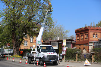 Hubsteiger beim Baumschnitt