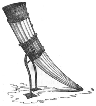 Fig. 173. Irisches Trinkhorn.