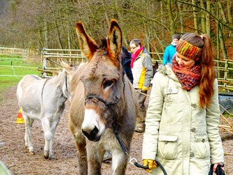 Coaching: Persönlichkeitstraining und Teamtraining in Bad Berleburg, Naturpark Sauerland-Rothaargebirge