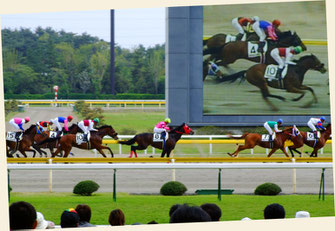 新潟競馬場も割と近い（新潟県新潟市）