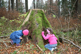 Zwei kleine Kinder verstecken sich hinter einem Baumstumpf