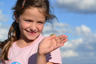 Ein Mädchen hat einen kleinen grünen Grashüpfer auf ihrer Hand sitzen