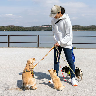 さんぽ「楽しい達人プラン」