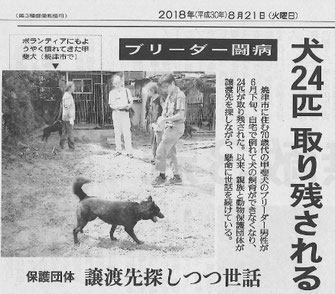 読売新聞　静岡版　８月２１日