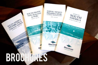 Click here to see sample sales and product brochures