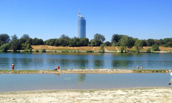 Flachwasserzone neue Donau