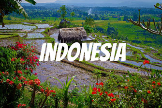 Travel in Bali - Indonesia