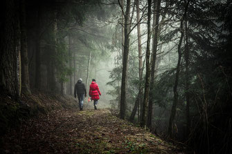 reservation gite nature cote d'opale