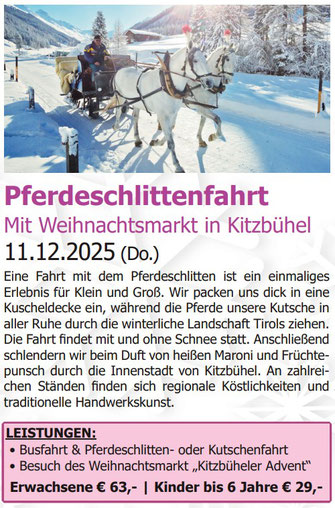 Pferdeschlittenfahrt