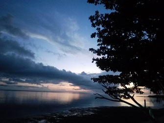 sonnenuntergang am meer wolken meeresspiegelung ozean baum himmel farben wunderschöne bilder kostenlos gratis fotos kommerzieller gebrauch ohne copyright