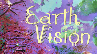 Vision Earth