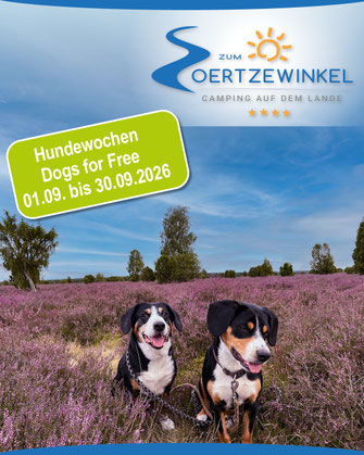 Vom 1. bis 30. September kostenloser Aufenthalt für Ihren Hund