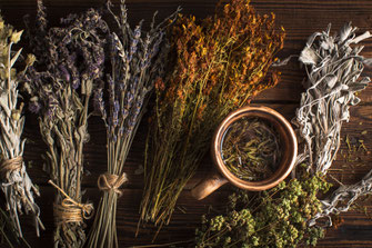 Phytotherapie