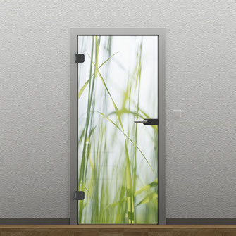 Glastüren mit Digitaldruck Gräser günstig kaufen