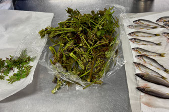 山菜や鮎など上野村の旬の食材を味わう|よる森 14th