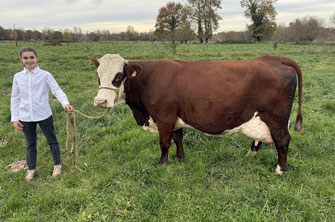 3ème : Mangue (Rumex x Lion)