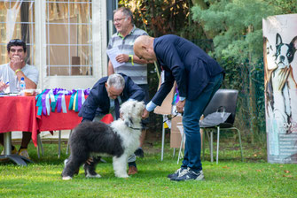 programma-campionato-sociale-29-settembre-2024-bobtail-old-english-sheepdog-italia-giudice-christina-bailey-zottel-club-village-spiaggia-romea-parco-delta-del-Po