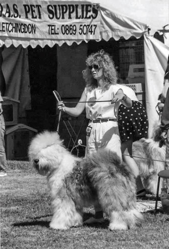 giudice-campionato sociale-2024-christina-bailey-bobtail-old-english-sheepdog-